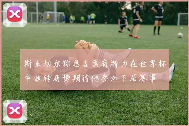 斯米切尔称恩古莫有潜力在世界杯中扭转局势期待他参加下届赛事
