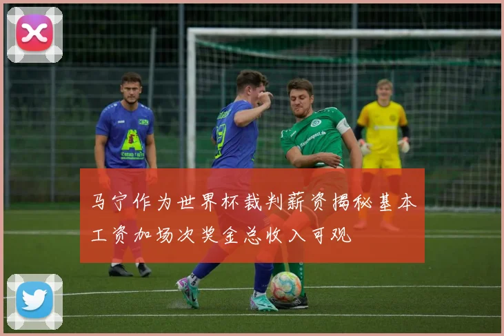 马宁作为世界杯裁判薪资揭秘基本工资加场次奖金总收入可观